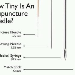 Chen Natural Medicine and Accupunture Clinic