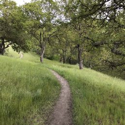 Twin Ponds Loop Trail