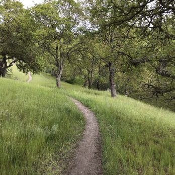 Shell Ridge Open Space - Twin Ponds Loop Trail - Hiking Near Me - Walnut Creek, California