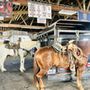Photo of Guerrero Auto & Body Repair