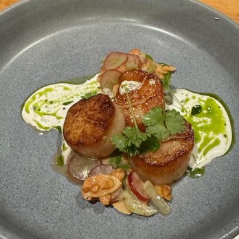 Rooster & Owl - Seared Scallops - New American Near Me - Washington, DC, District of Columbia