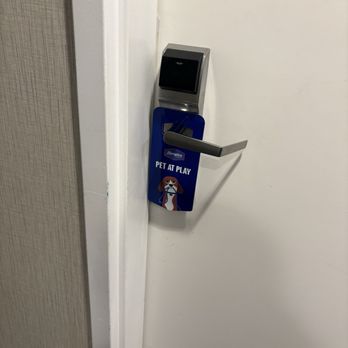 Hampton Inn Cranbury - Evidence that their animals running around everywhere and I'm allergic to dogs and cats. Pretty nasty. - Hotels Near Me - Cranbury, New Jersey