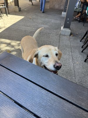 Firestone Walker Emporium by null