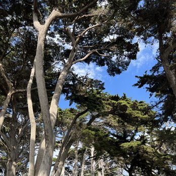 Big Sur Adventures - Bike Rentals Near Me - Pacific Grove, California