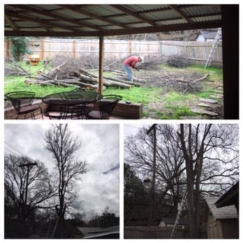 Silver Tree Care  - Tree Services Near Me