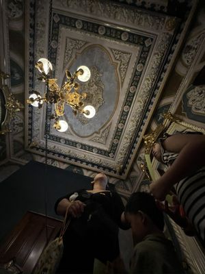 Victoria Mansion by null