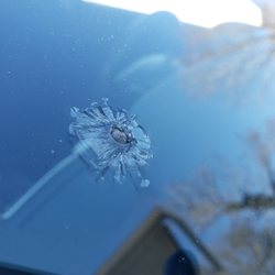 Auto Glass Tech Xpress