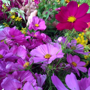 Wildey Flower Farm - Florists Near Me - Cincinnati, Ohio Wildey Flower Farm - Florists Near Me - Cincinnati, Ohio