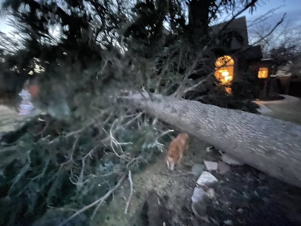 ENVISIACARE SERVICES Updated August 2024 8210 Yellowstone Rd, Cheyenne, Wyoming Snow