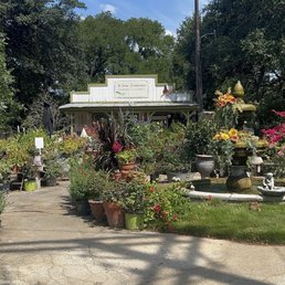 Exterior photo of Wilson Landscape Nursery & Florist - Helotes, Texas Exterior photo of Wilson Landscape Nursery & Florist - Helotes, Texas
