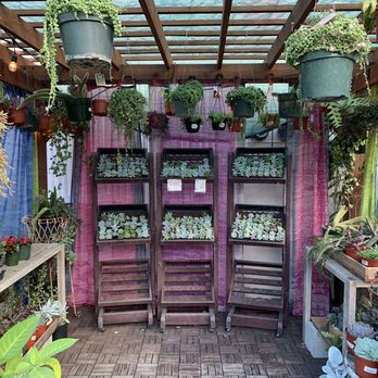 Tansy - Home Decor Near Me - Burbank, California