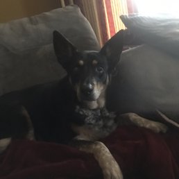Sophie
