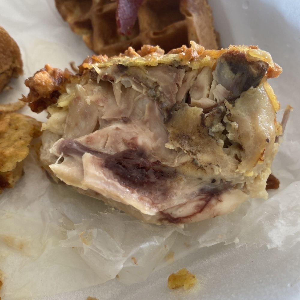 Michael's Cafe - Southern Chicken & Waffle - Breakfast & Brunch Near Me - Fort Lauderdale, Florida Michael's Cafe - Southern Chicken & Waffle - Breakfast & Brunch Near Me - Fort Lauderdale, Florida