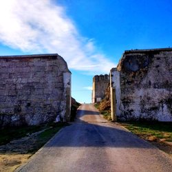 Isla de las Palomas - Isla de Tarifa - Isla de Tarifa (Isla de las Palomas) 2-9-18
