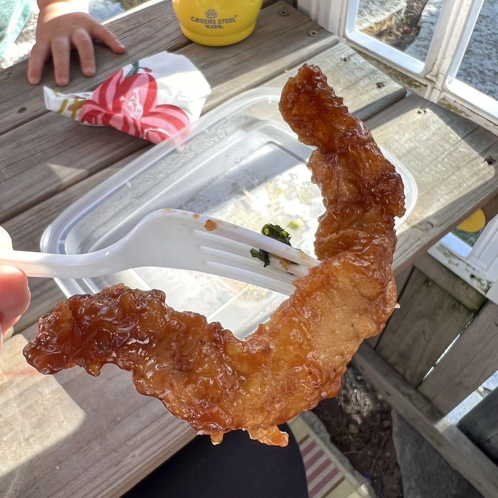 Boran Royal Thai Cuisine - Oversized garlic chicken pieces- not at all crispy - Thai Near Me - Ruston, Washington