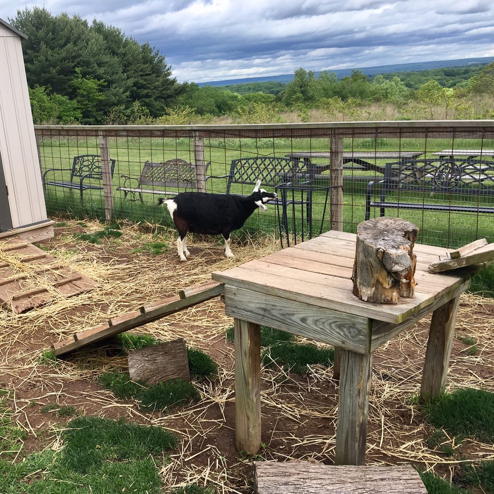 Hindinger Farm - Fruits & Veggies Near Me - Hamden, Connecticut