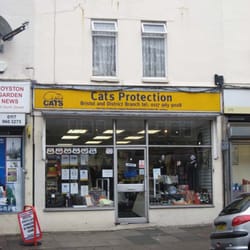 Cats Protection League
