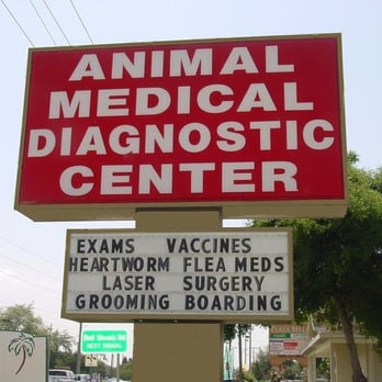 Animal Medical Center - Veterinarians Near Me - Brandon, Florida Animal Medical Center - Veterinarians Near Me - Brandon, Florida