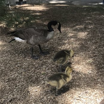 Denver Zoo - Zoos Near Me - Denver, Colorado Denver Zoo - Zoos Near Me - Denver, Colorado