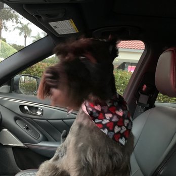Dog House Miami - Pet Sitting Near Me - Miami Lakes, Florida