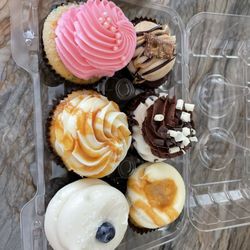Sweet T's Bakeshop - Cupcakes