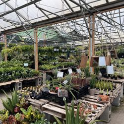 Hewitts Garden Center- Queensbury - Inside