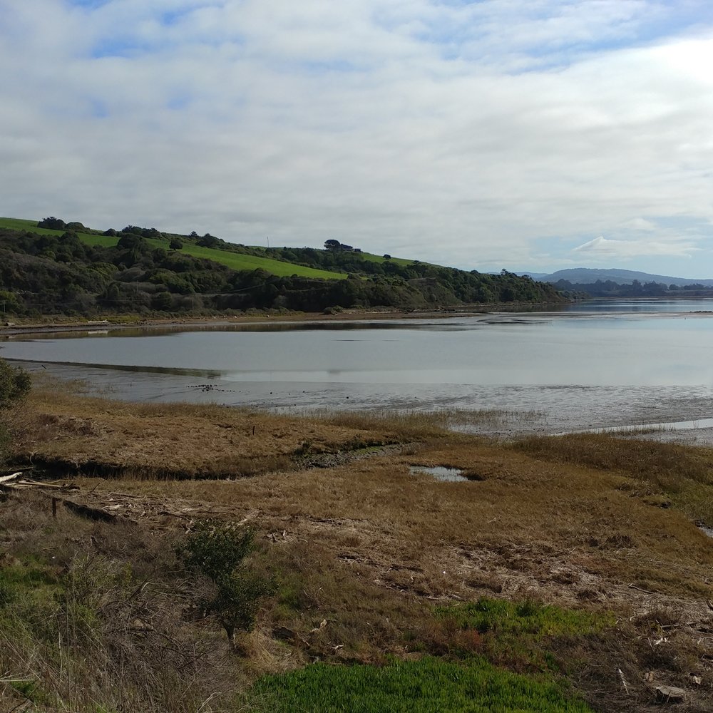 Millerton Point - Tomales Bay, looking southwest from Millerton Point - Hiking Near Me - Millerton, California