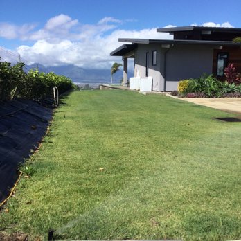 Irrigation Maui - Rotor install to support el toro lawn - Irrigation Near Me Irrigation Maui - Rotor install to support el toro lawn - Irrigation Near Me