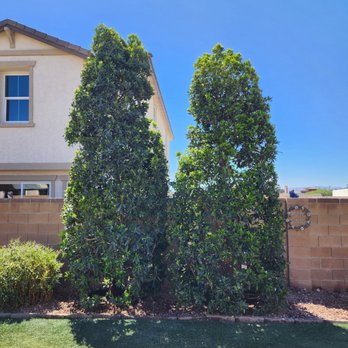 Moon Valley Nurseries - Nurseries & Gardening Near Me - Las Vegas, Nevada