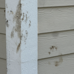 Indy Gutter Cleanings Plus