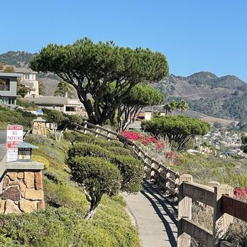 Shell Beach Bluff Trail - Trail - Hiking Near Me - Pismo Beach, California