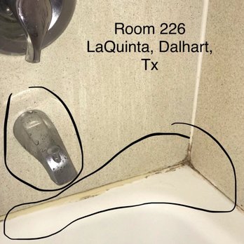 La Quinta by Wyndham Dalhart - Hotels Near Me - Dalhart, Texas La Quinta by Wyndham Dalhart - Hotels Near Me - Dalhart, Texas