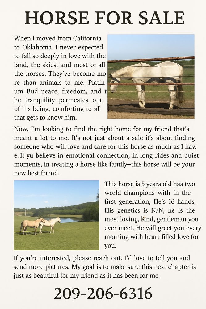 Peace On Earth Riding Academy - equestrian in Oklahoma City, OK