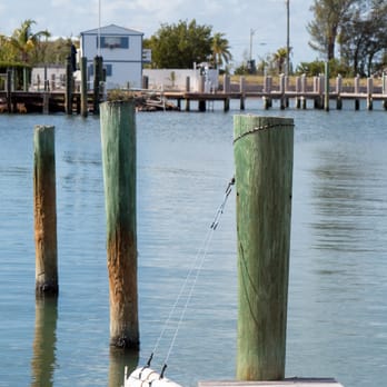 Hidden Harbor Turtle Hospital - Veterinarians Near Me - Marathon, Florida