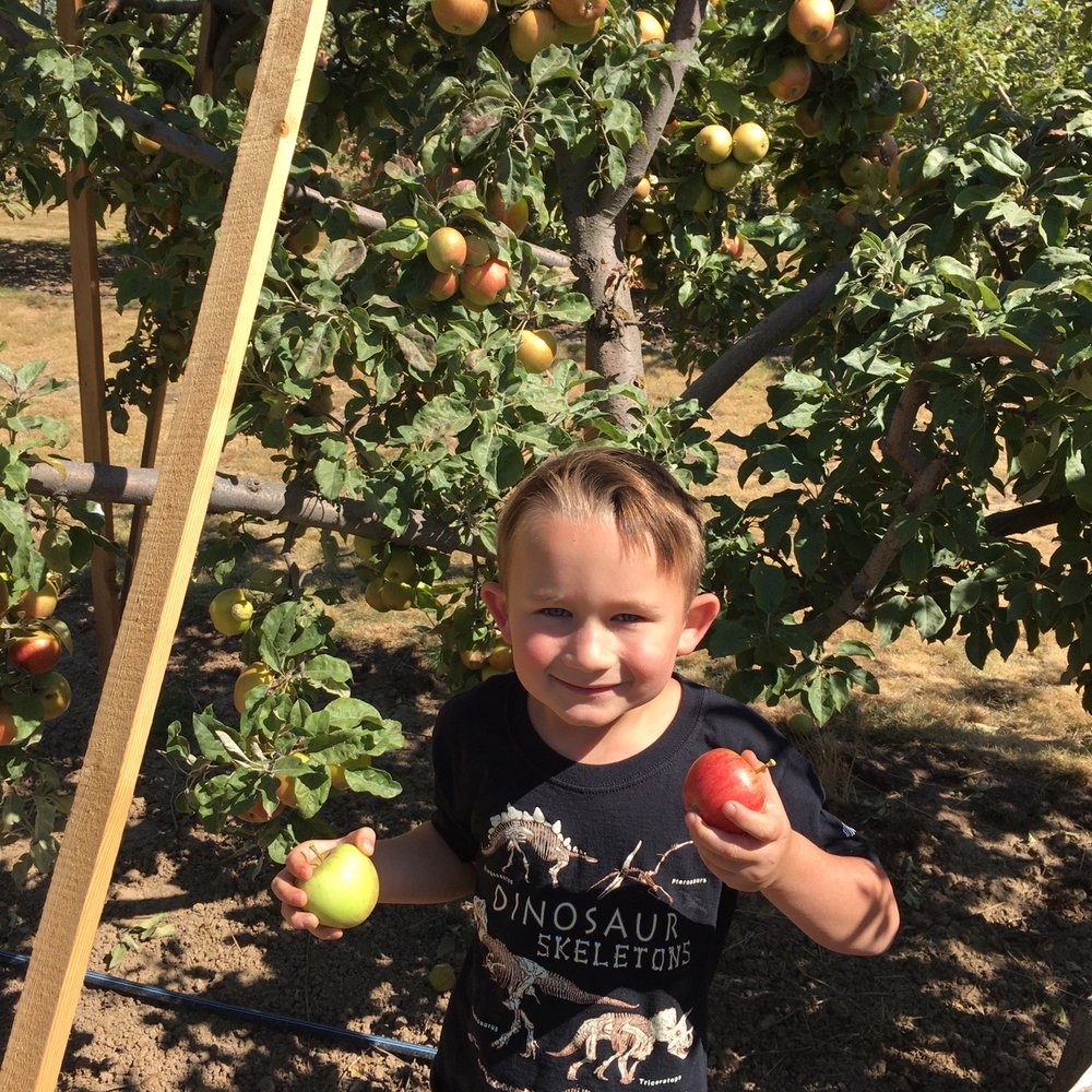 Eleven Acres Farm - Apple picking - Farmers Market Near Me - Mead, Washington Eleven Acres Farm - Apple picking - Farmers Market Near Me - Mead, Washington