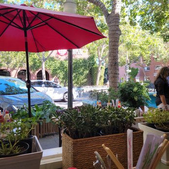 Pho Banh Mi - Outside view - Vietnamese Near Me - Palo Alto, California Pho Banh Mi - Outside view - Vietnamese Near Me - Palo Alto, California
