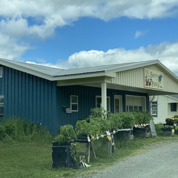 The Berry Patch - a blue building with a white roof - Fruits & Veggies Near Me - Stephentown, New York