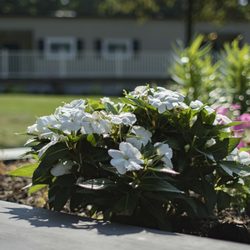 Retreat Behavioral Health - Ephrata