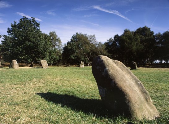 Nine Ladies Stone Circle by null