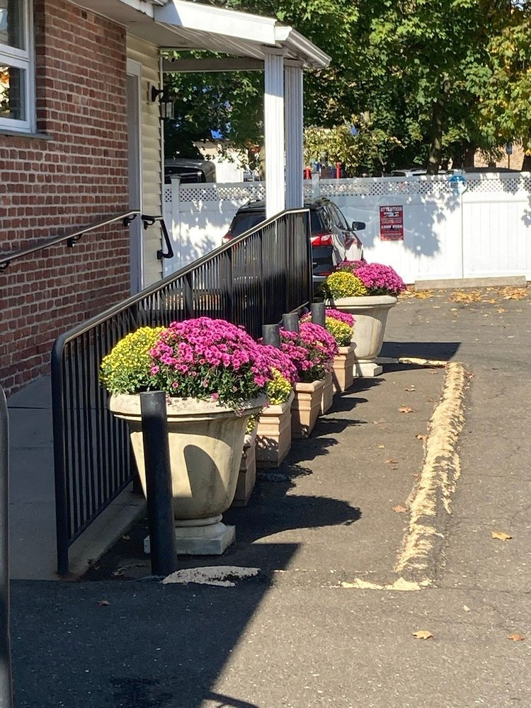 STAMFORD ORAL & MAXILLOFACIAL SURGICAL ARTS Updated September 2024