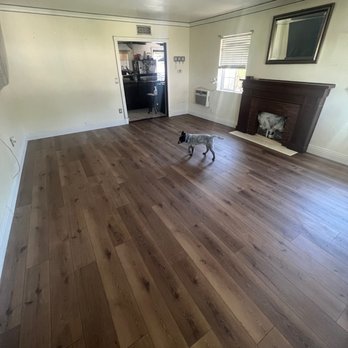Humberto's Flooring - Bear Oak SPC & Chase (the puppy). - Flooring Near Me Humberto's Flooring - Bear Oak SPC & Chase (the puppy). - Flooring Near Me