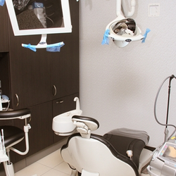 Congress Dental Group