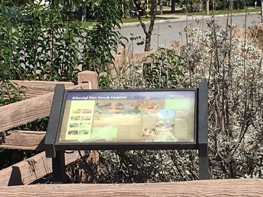 lario-san-gabriel-river-trail-updated-june-2024-28-photos-15701