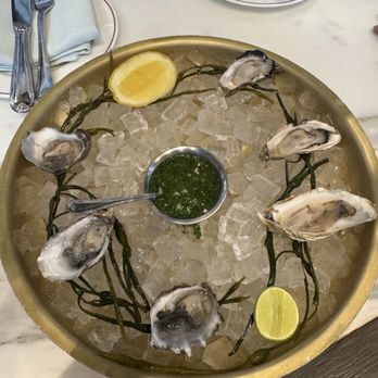 The Holbrook House - Oysters - Cocktail Bars Near Me - San Francisco, California The Holbrook House - Oysters - Cocktail Bars Near Me - San Francisco, California