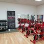 Body Styles Fitness Training
