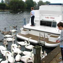 Kris Cruisers - Higginson Park - Marlow