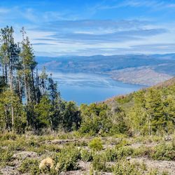Mount Konocti County Park