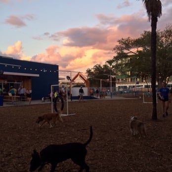 Yard Bar - So pretty - Bars Near Me - Austin, Texas Yard Bar - So pretty - Bars Near Me - Austin, Texas