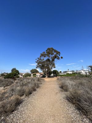 Tecolote Canyon Natural Park and Nature Center by null