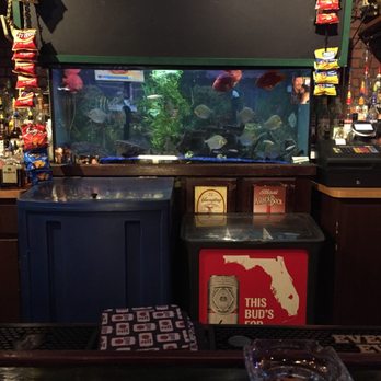 Jerseys Hometown Tavern - a fish tank with a map of florida - Bars Near Me - Spring Hill, Florida